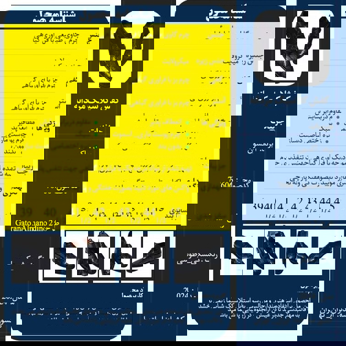 کفش چرم کلاسیک ادیم اکسون مدل گراناتو آلماندینو 2